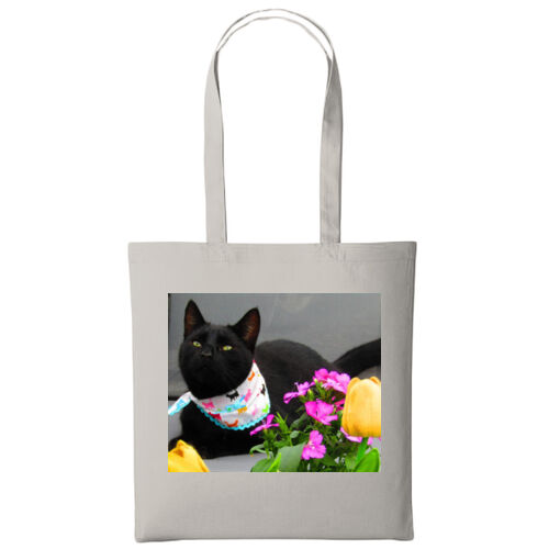 Weebles Bag  Thumbnail