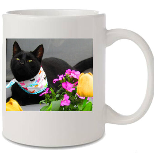 Weebles Mug  Thumbnail