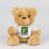 Bear in a t-shirt Thumbnail