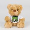 Bear in a t-shirt Thumbnail